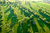 20080511_070647_5807